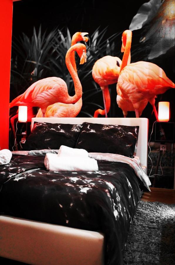 Flamingos Apartman & Fitness Centar Osijek - Blizina Bolnice Kbc Osijek Eksteriør bilde